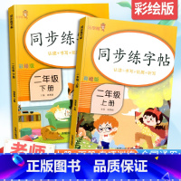 [2本套]同步练字帖 2上+2下 二年级下 [正版]小学生二年级上册下册同步练字帖彩绘版小学控笔训练字帖练字小学生硬笔书