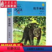 [正版] 牧羊神豹 沈石溪动物小说升级完整版全本6-7-10-12-15岁儿童文学三四五六年级小学生课外阅读书籍少儿文