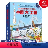 中国大工程 [正版]中国大工程立体书儿童3d立体书 3-4-5-6岁科普翻翻书精装 幼儿园小学早教书籍了不起的建筑百科全