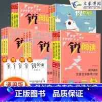 现代文阅读训练100篇 九年级/初中三年级 [正版]锐阅读初中语文阅读训练五合一七年级八年级九年级中考现代文阅读理解训练