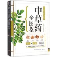 正版新书]中草药全图鉴温玉波,李海涛 主编 凤凰含章 出品9