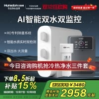 汉斯顿/Hunsdon[国家补贴]净水器家用厨下式净水机家用直饮净水器C2净水器家用无桶双水大流量过滤器净水器