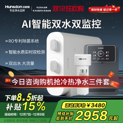 汉斯顿/Hunsdon[国家补贴]净水器家用厨下式净水机家用直饮净水器C2净水器家用无桶双水大流量过滤器净水器