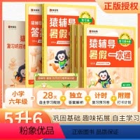 [5升6]语 英[通用版]+数学[苏教版] 小学五年级 [正版]2023新猿辅导暑假一本通小学五升六语文数学英语五年级升