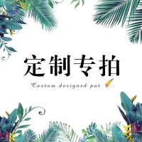 以雅以南 定制专拍 6