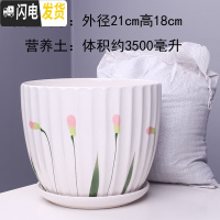 三维工匠特大号花盆陶瓷简约吊兰创意绿萝家用阳台多肉花盆带托盘 56025粉特大号+土 特大花盆容器