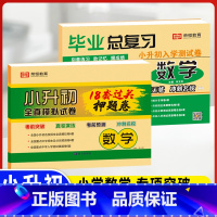 18套真题卷+毕业总复习(数学)2本 小学升初中 [正版]2023小升初真题卷语文数学英语试卷必刷题人教版小学毕业升学总