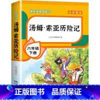 [六年级下册]汤姆索亚历险记 [正版]全套4册 鲁滨逊漂流记六年级下册的课外书阅读原著完整版汤姆索亚历险记爱丽丝漫游奇境