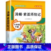 [六年级下册]汤姆索亚历险记 [正版]全套4册 鲁滨逊漂流记六年级下册的课外书阅读原著完整版汤姆索亚历险记爱丽丝漫游奇境