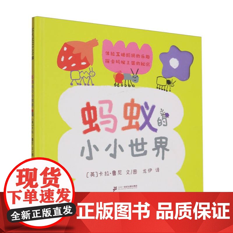 蚂蚁的小小世界