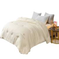 一卜大豆被芯Y03/件