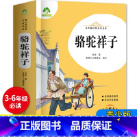 骆驼祥子 256页 [正版]原著无删减骆驼祥子老舍的完整青少版初中版七年级7必读课外书名著人教版书籍 小学生解析无障碍阅