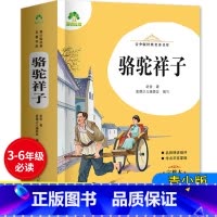 骆驼祥子 256页 [正版]原著无删减骆驼祥子老舍的完整青少版初中版七年级7必读课外书名著人教版书籍 小学生解析无障碍阅