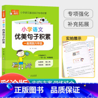 [小学通用]语文优美句子 小学二年级 [正版]中华经典素读范本一年级二三四五六年级上册下册全套 小学生1-6年级语文诵读