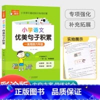 [小学通用]语文优美句子 小学二年级 [正版]中华经典素读范本一年级二三四五六年级上册下册全套 小学生1-6年级语文诵读