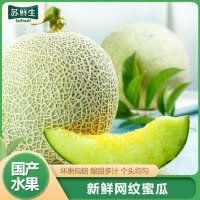 [苏鲜生]网纹蜜瓜 净重4.5斤 1-4个 冰淇淋新鲜水果当季哈蜜瓜