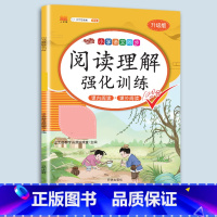 阅读理解强化训练 四年级下 [正版]小学语文专项训练一年级练习册全套看拼音写词语二年级上册三四五六年级天天练人教版练字帖