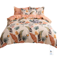 安居先森加厚生态棉臻品美肌双人床四件套床品D1266(套)