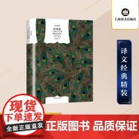 彩画集(兰波散文诗全集) [法]兰波著 王道乾译 译文经典 十九末法国生活风情 诗人对世间的挑战 上海译文出版社 正版