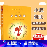 [正版]小鹿斑比书 亲近母语经典童书阅读指导版小学生三四五六年级课外阅读故事书籍儿童文学读物世界名著小说广西师范大学出