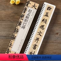[正版]赵孟俯胆巴碑楷书毛笔书法字帖元代赵孟頫赵体经典碑帖书法临摹字卡原帖原大版行楷字帖近距离临帖卡附简体旁注