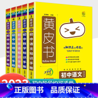 黄皮书 初中知识手账 升学5本套 初中通用 [正版]2023新版黄皮书初中知识手账全套语文数学英语物理化学政治历史生