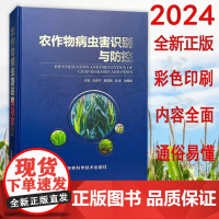 2024版 农作物病虫害识别与防控 9787557840020中国植保病虫害书常见粮食农作物病虫害防治技术农业经济作物病