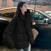 新款冬季立领棉服女年时尚宽松小个子短款设计感加厚保暖外套