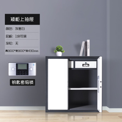 DXBG办公钢制保密柜办公文件柜电子密码锁档案柜柜加厚铁皮柜国保锁 (钥匙密码锁)单节保密柜