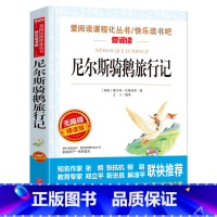 尼尔斯骑鹅旅行记 [正版]小英雄雨来四年级阅读课外书籍原著完整版 适合4年级看的经典名著非老师必读 小学生儿童文学故事书