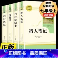 [七上•人教选读4册]猎人笔记+白洋淀纪事+镜花缘+湘行散记 [正版]七年级上册西游记原著朝花夕拾鲁迅人民教育出版社人教