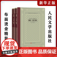 安娜卡列宁娜全2册 俄罗斯列夫·托尔斯泰中小学寒暑假课外书阅读书目外国世界文学名著经典小说读物布面精装正版人民文学出版社