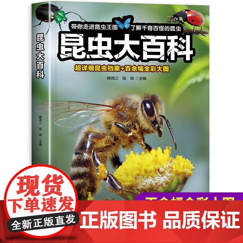 昆虫大百科 昆虫百科全书书籍幼儿绘本认识虫子蝴蝶知识小百科虫虫书大全科普认知儿童版关于昆虫的书图片图鉴小学生大百科昆虫记