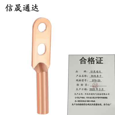 信晟通达 铜线鼻子 DTS-25 个