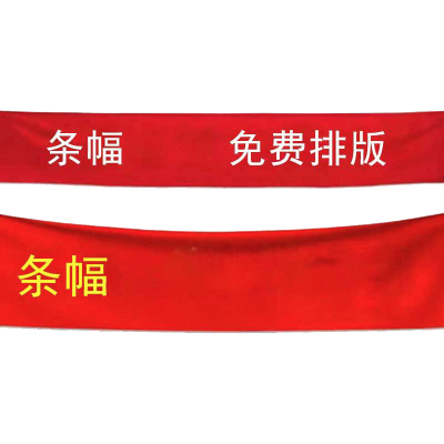 振之宏 主题条幅 8*0.7m 个