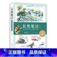 [正版]自然笔记(开启奇妙的自然探索之旅全新增订版)