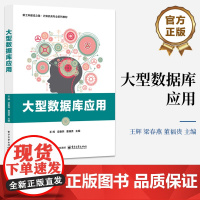 店 大型数据库应用 计算机类专业系列教材书 MySQL数据库管理操作设计教程 王辉 等 编 电子工业出版社
