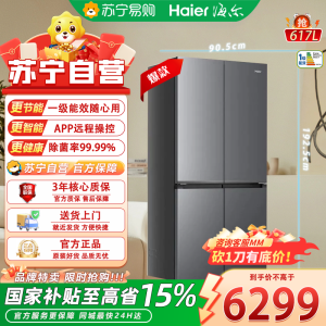 海尔BCD-617WGHTDB9VBU1(灰) 山茶花 617L大容量十字门电冰箱 一级能效