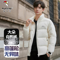 啄木鸟羽绒服男士冬季休闲帅气面包服立领加厚保暖白鸭绒外套男款