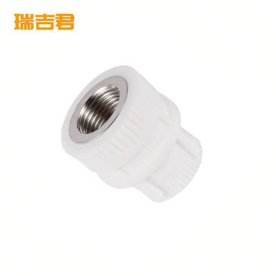 瑞吉君 PPR内丝直接 50mm 个