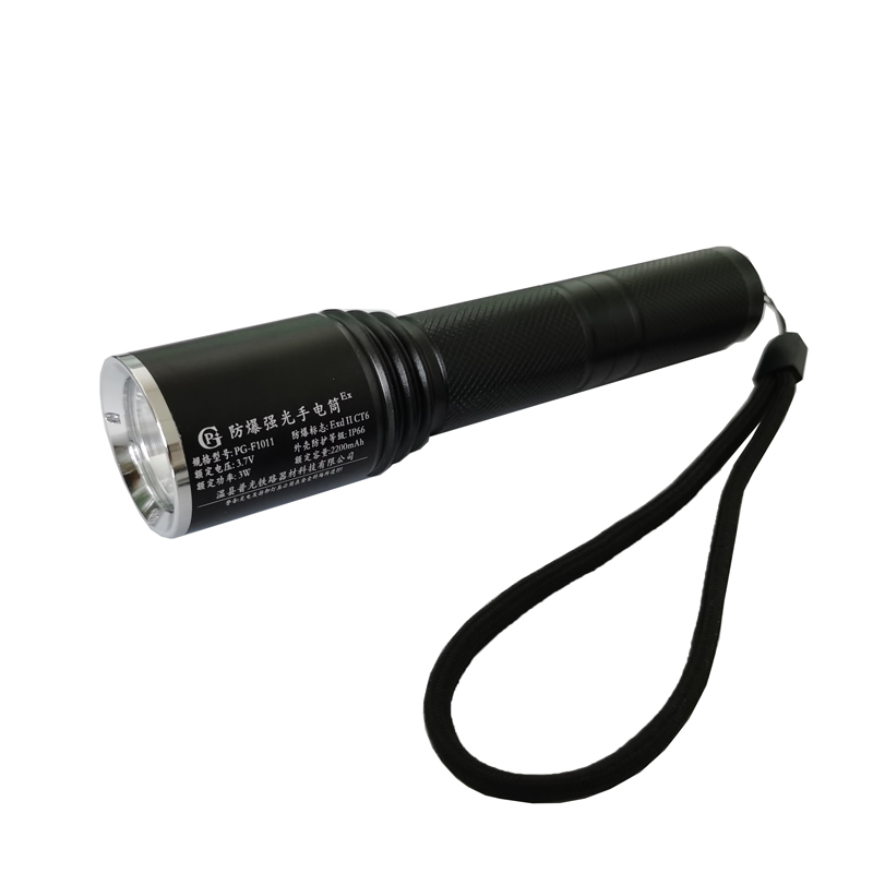 PG 防爆强光手电筒 PG-F1011 /个