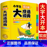 [正版]2024新版小学生多功能大成语词典彩图大字配音频成语工具书
