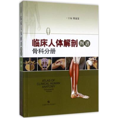 正版新书]临床人体解剖图谱(骨科分册)陈金宝9787547834534