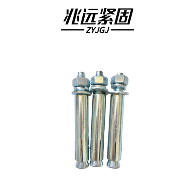 兆远紧固 金属膨胀螺丝(套)(10*80)