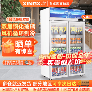 星星(XINGX)LSC-518Y 530升大容量双门冷藏展示柜 商用冰箱保鲜冷藏冰柜 玻璃门立式饮料柜