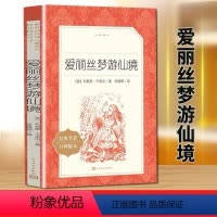 [正版]爱丽丝梦游仙境书原版原著六年级下 爱丽丝漫游奇境记人民文学出版社 小学生课外阅读书籍三年级经典书目儿童读物L