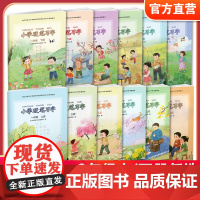 小学硬笔习字一二三四五六年级上下册 123456年级课本同步 按年级选购 硬笔书法人教版 教材配套写字描红本练字贴教辅习