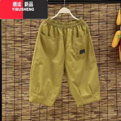 YIBUSHENG休闲裤女季宽松薄款2024年新款通勤百搭舒适气质贴标哈伦七分裤