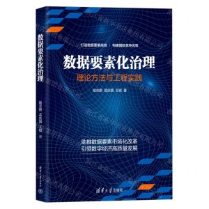 [N]数据要素化治理(理论方法与工程实践)-9787302648185