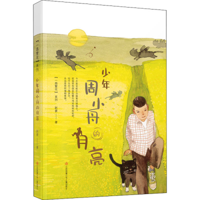 醉染图书少年周小舟的月亮9787558421105